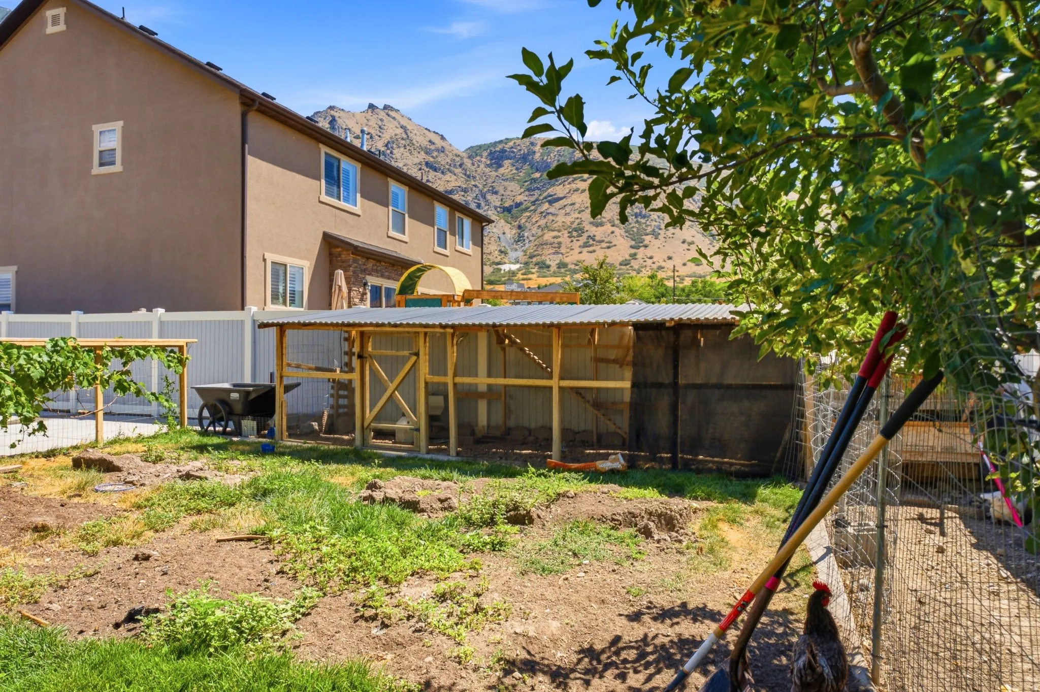 Expansive backyard space featuring an animal enclosure with a corrugated metal roof, a wooden trellis structure, and a white privacy fence