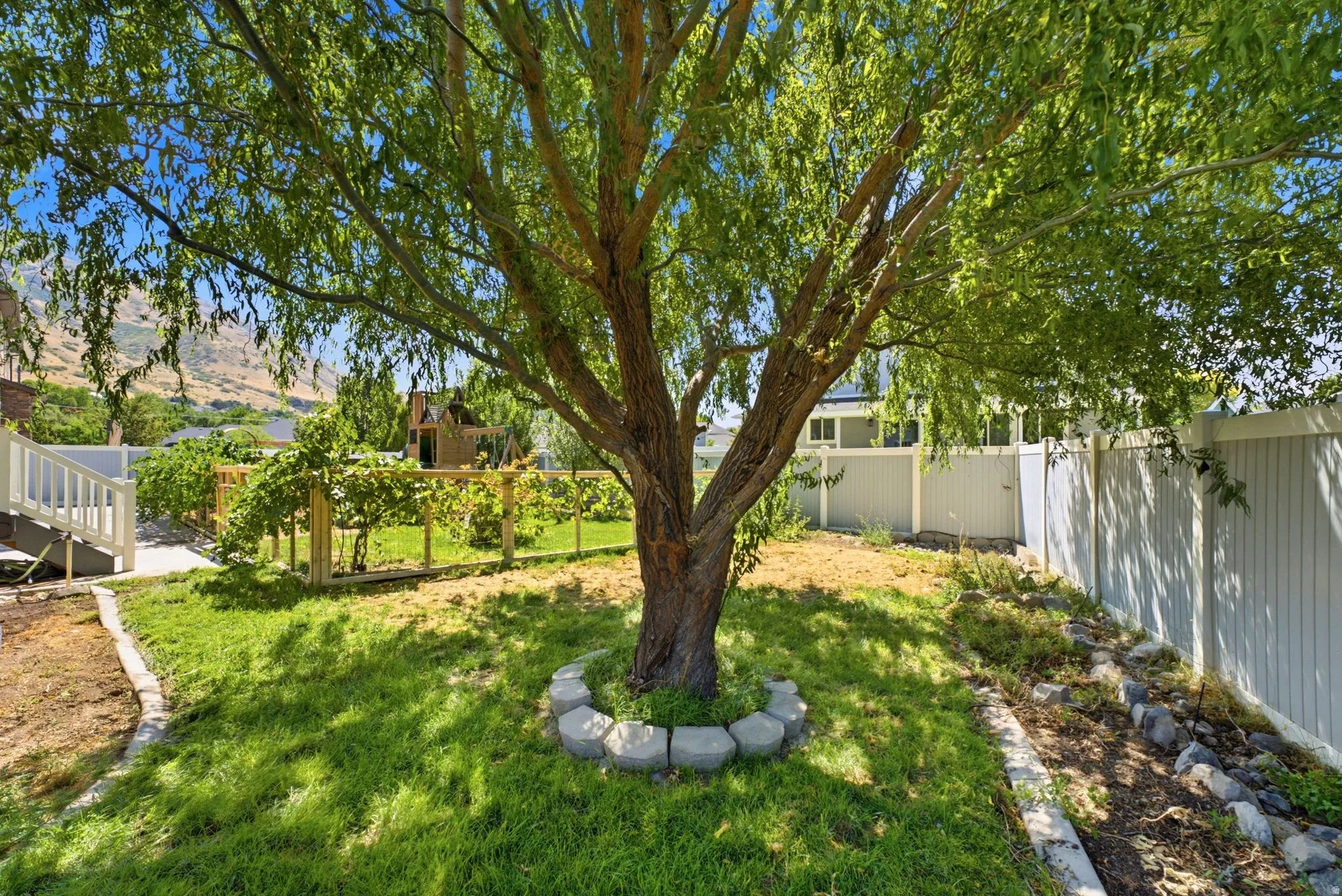 Expansive backyard featuring a mature deciduous tree, a landscaped rock border, and a white privacy fence