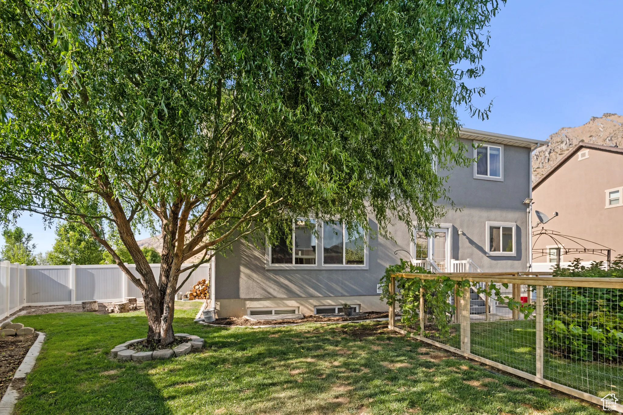 Expansive backyard featuring a mature tree, manicured lawn, white privacy fence, and a multi-level stucco exterior