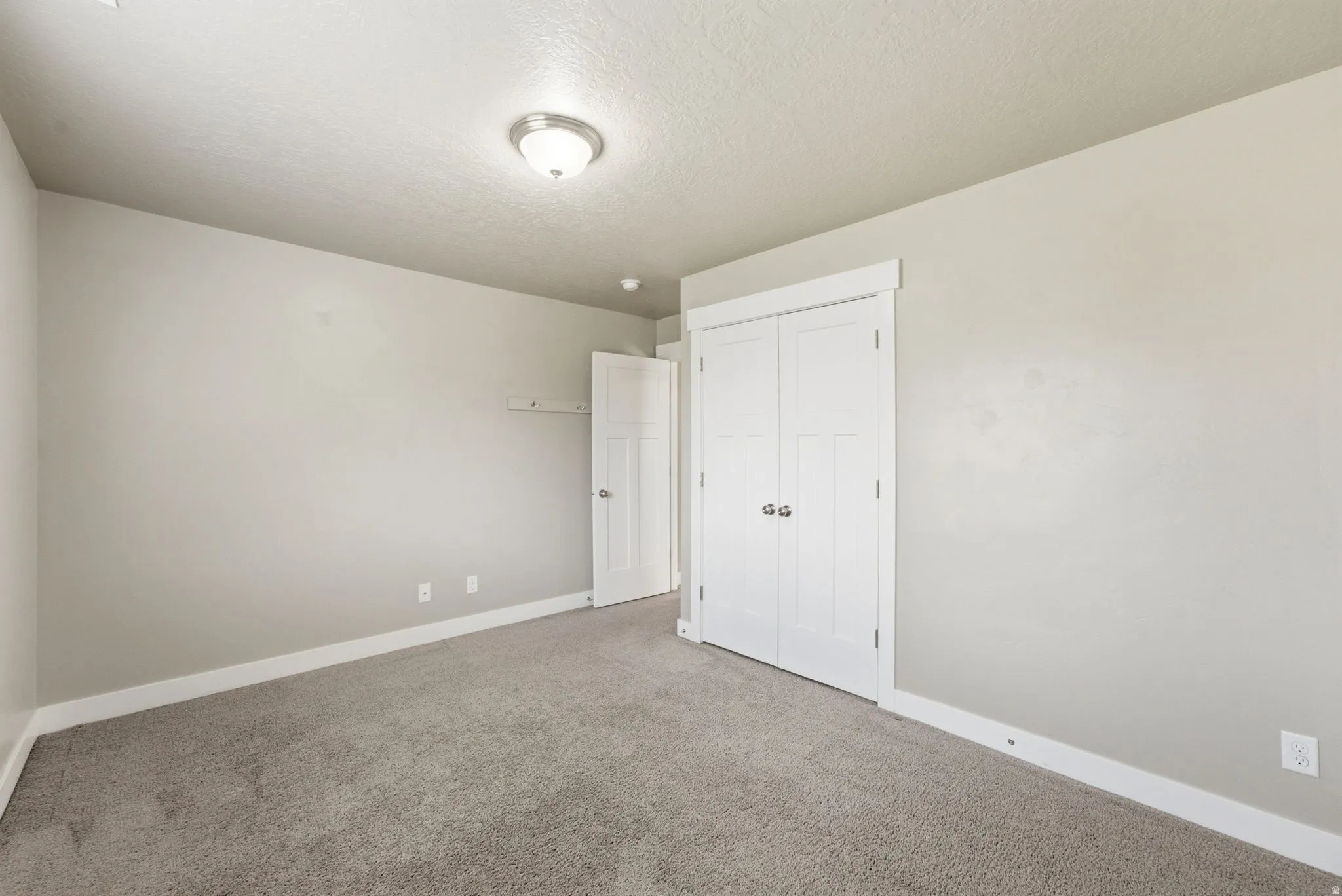 Neutral-toned wall paint with white trim, gray carpet flooring, and a flush mount ceiling light fixture