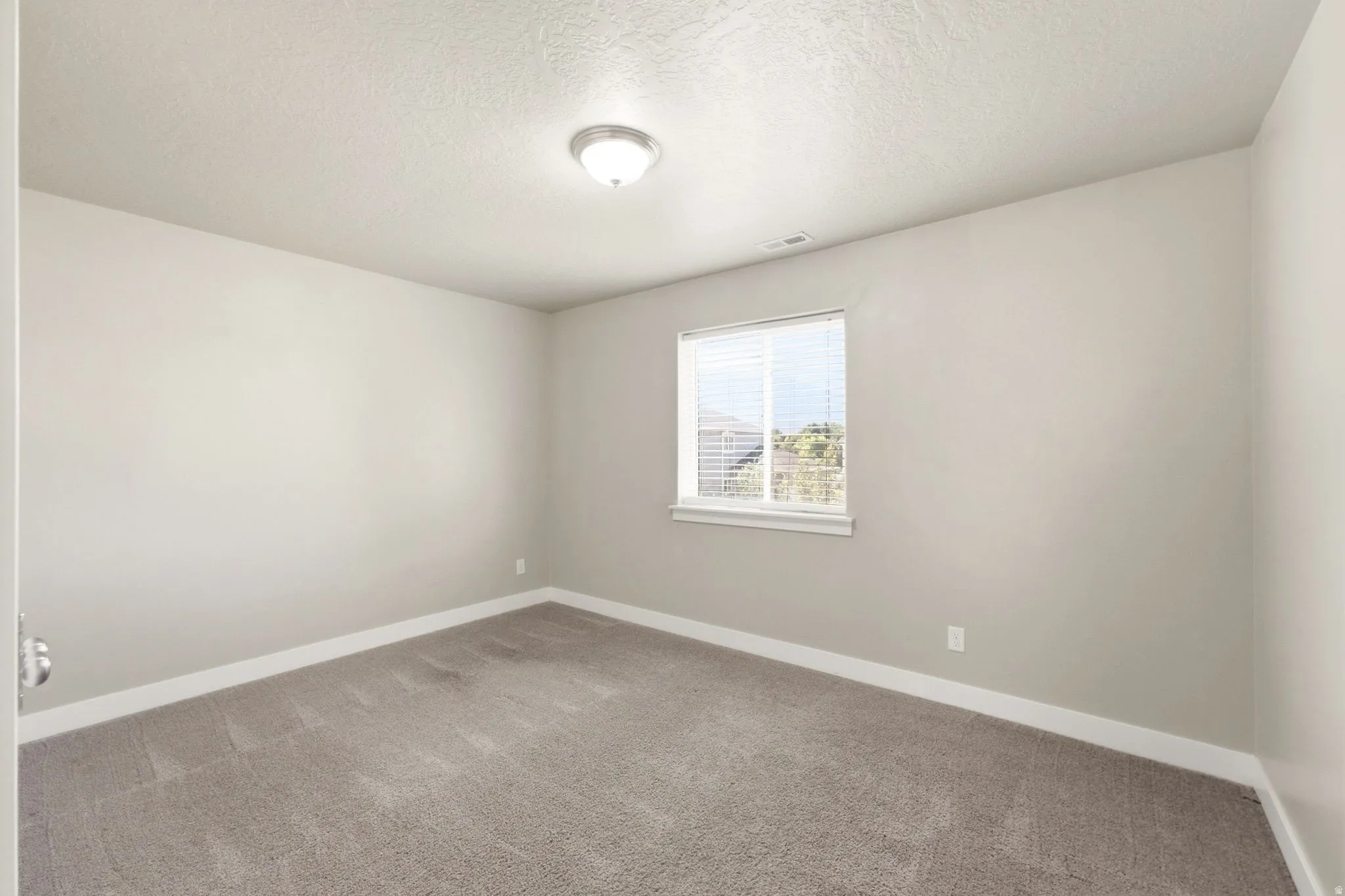 Carpeted room featuring a single window with blinds, a ceiling-mounted light fixture, and neutral-toned walls