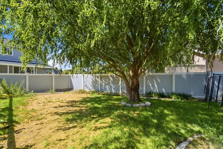 Spacious backyard featuring a mature deciduous tree, a light blue and white panel fence, and a stone-lined tree base