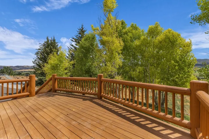 Expansive outdoor deck featuring wood flooring and a log railing system