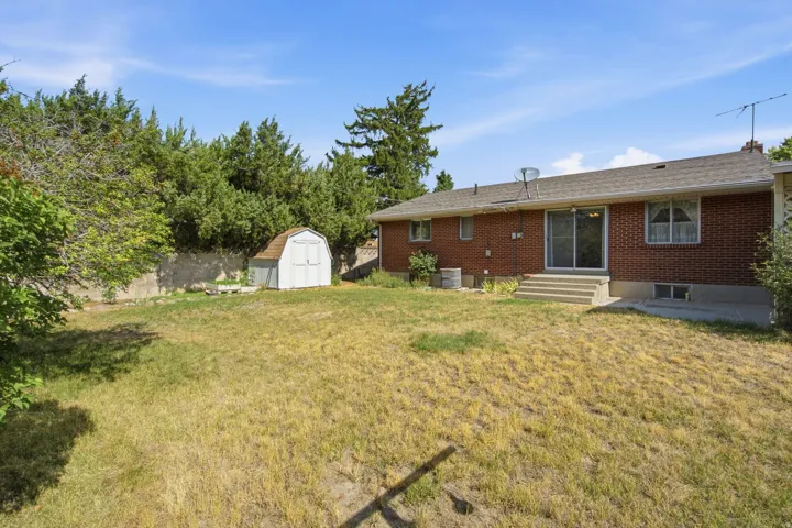Expansive backyard featuring a brick exterior with sliding glass doors, concrete steps, a detached storage shed, and mature perimeter trees
