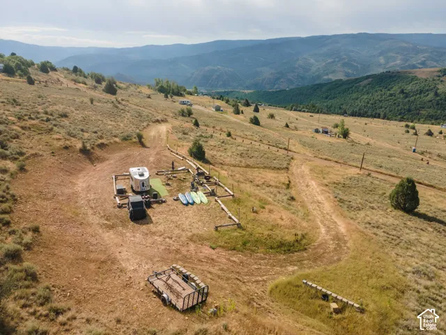 Expansive sloped terrain with natural ground cover and scattered trees