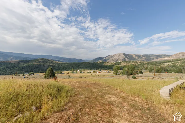 Expansive natural landscape featuring rolling hills, mature trees, and mountainous terrain under a clear sky