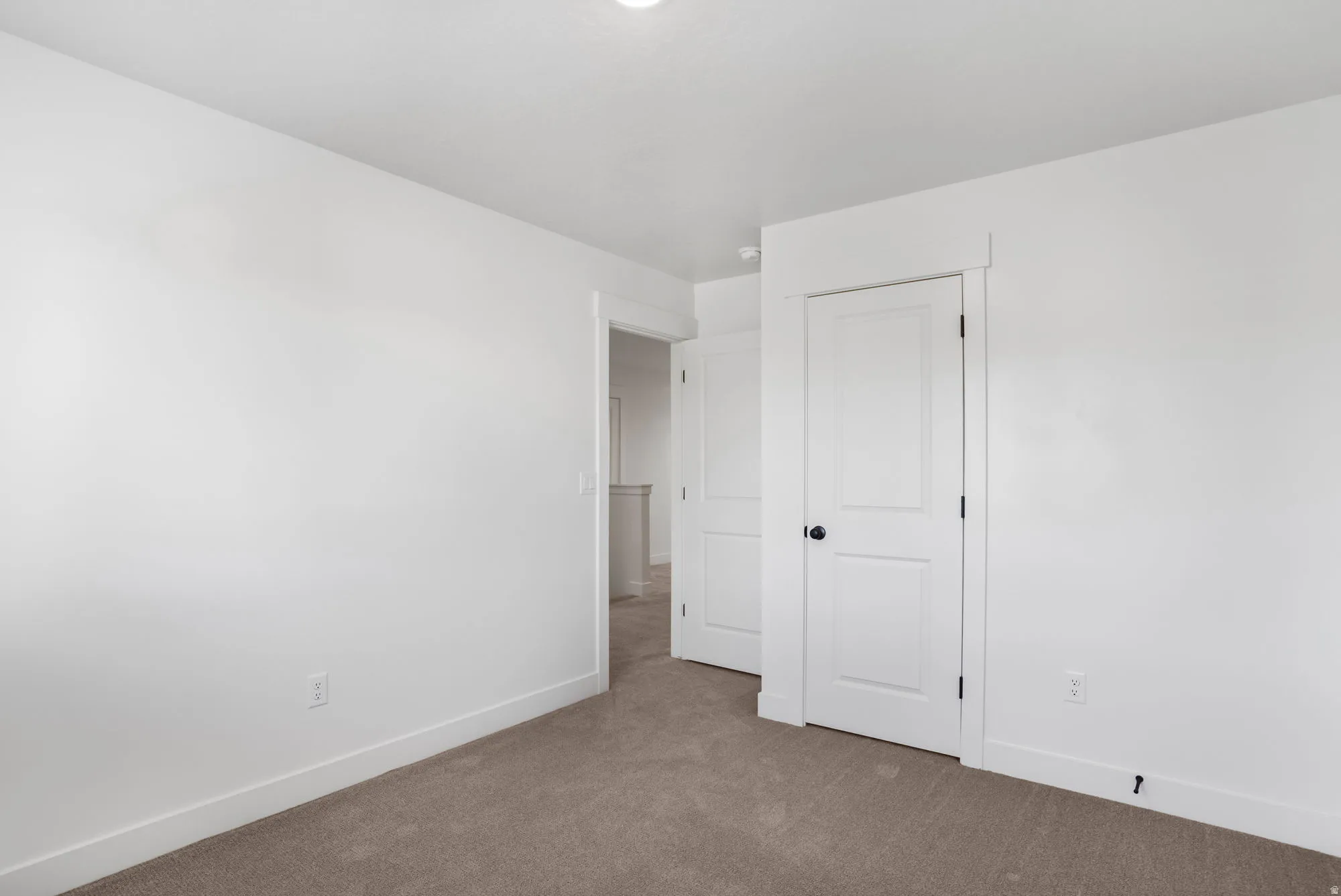Bright bedroom featuring pristine white walls, neutral carpet flooring, and abundant natural lighting