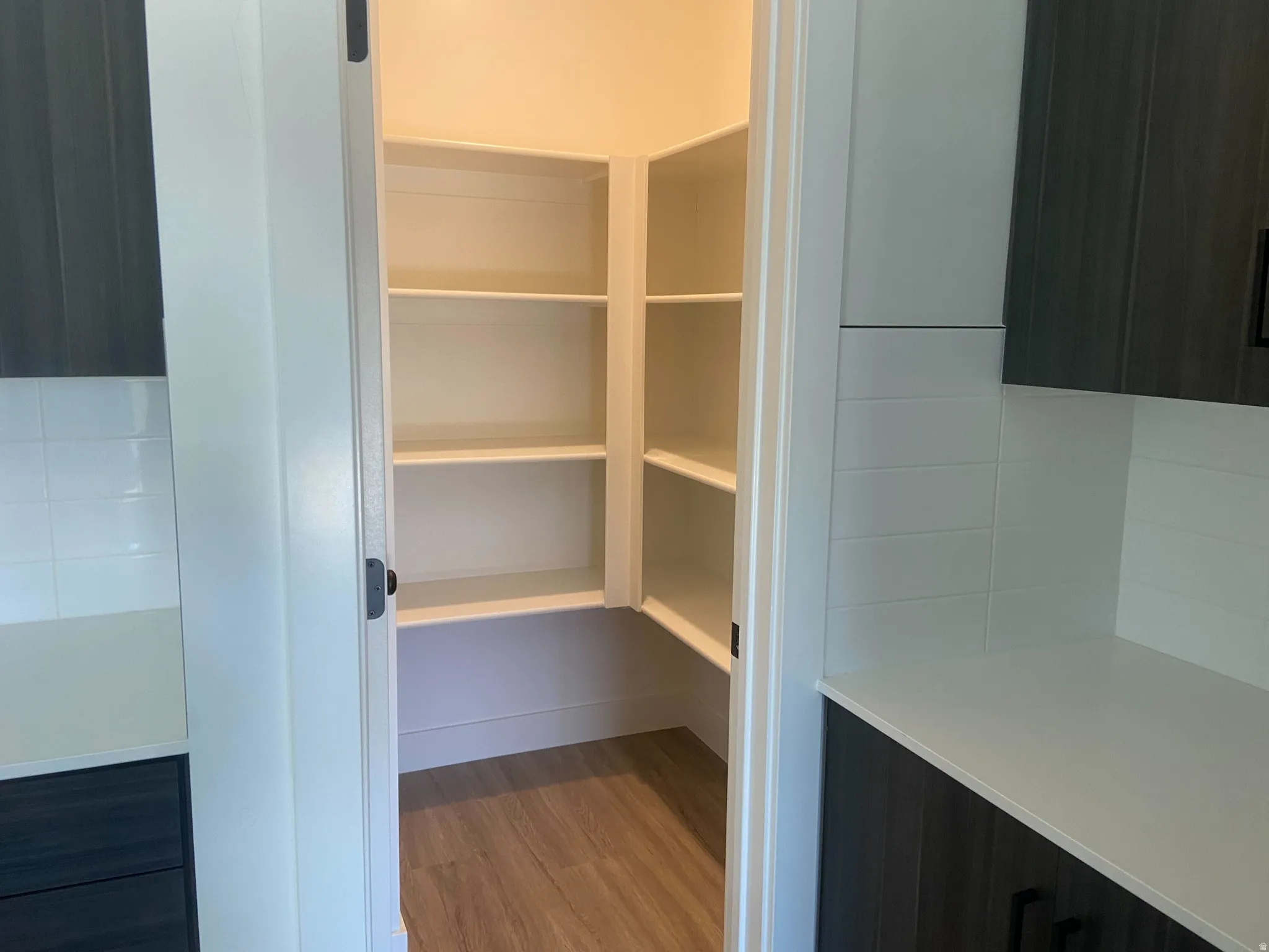 Walk-in pantry featuring built-in shelving, wood-finish flooring, and a white door with black hardware