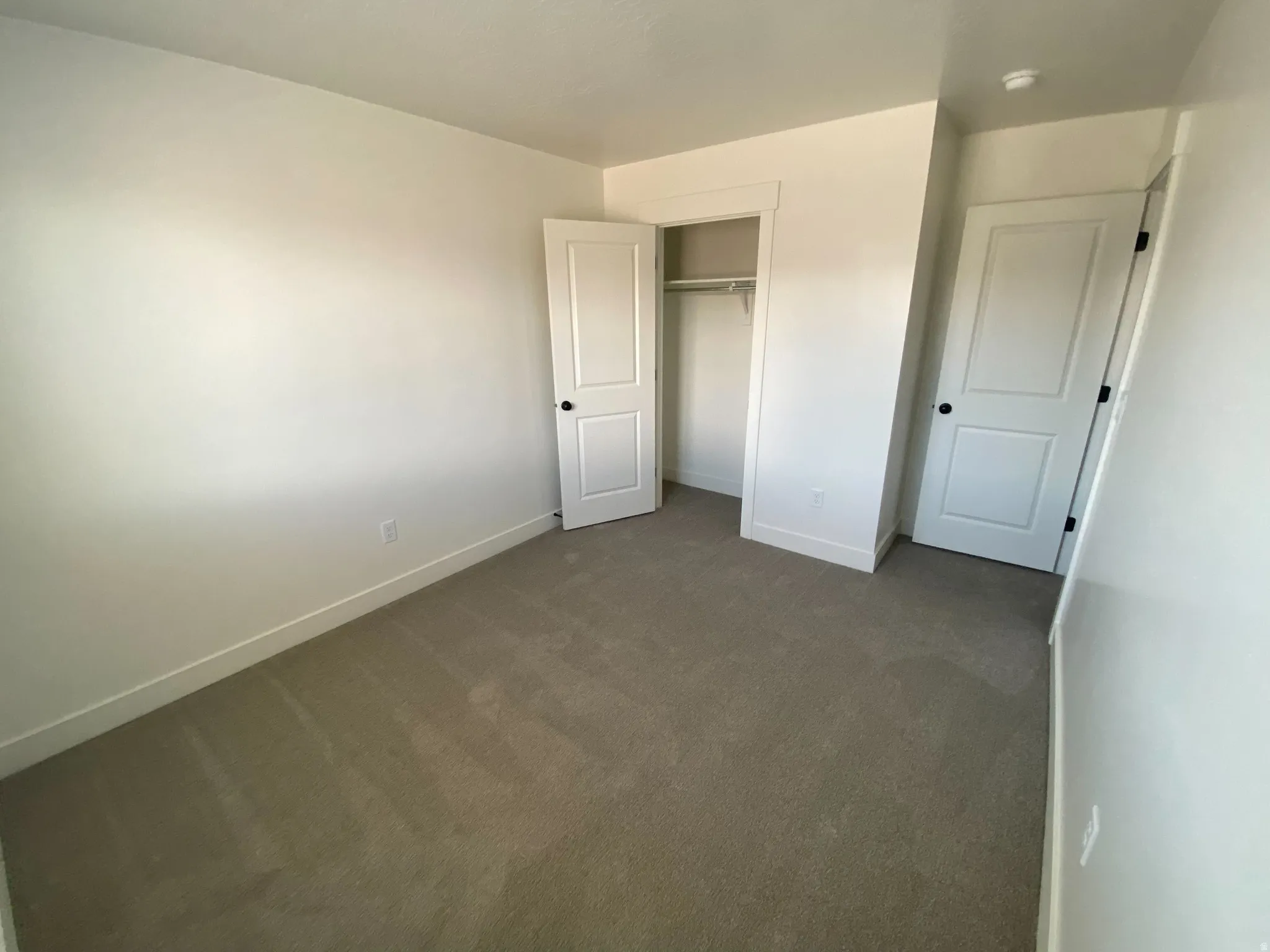 Neutral-toned carpet flooring complementing bright white walls, featuring a built-in closet with an open doorway