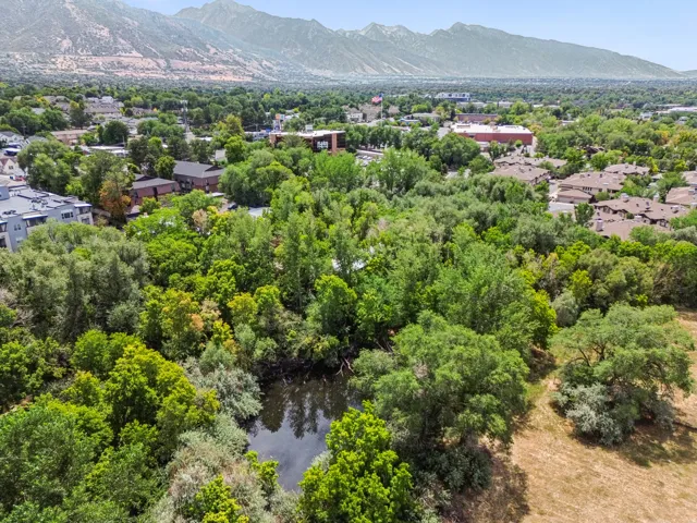 Nature Preserve that Community helps maintain.
