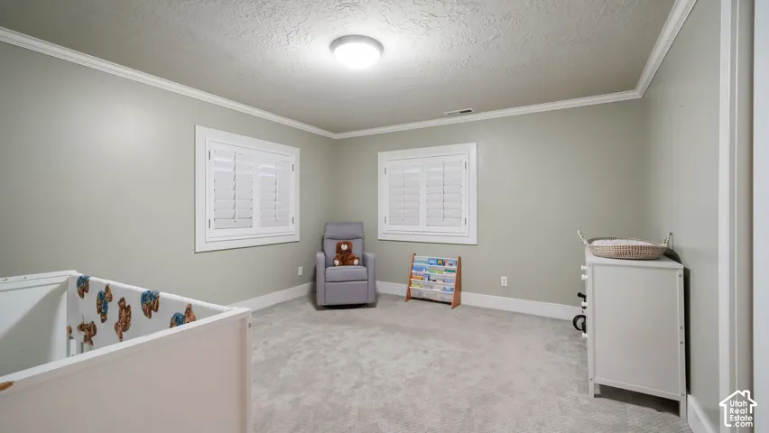 Carpeted room featuring two windows with white plantation shutters, crown molding, and a flush-mount ceiling light fixture