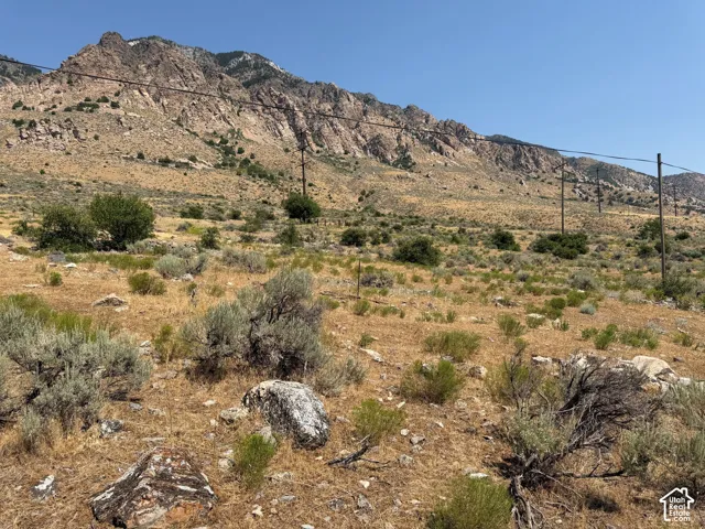 Expansive natural landscape featuring a prominent mountain backdrop, varied vegetation including shrubs and grasses, and scattered rock formations