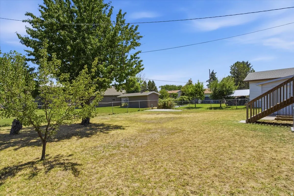 Spacious backyard featuring mature trees, a chain-link fence, and a concrete patio pad