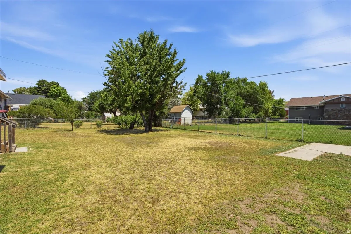 Expansive backyard featuring mature trees, a chain-link fence, and a concrete pad