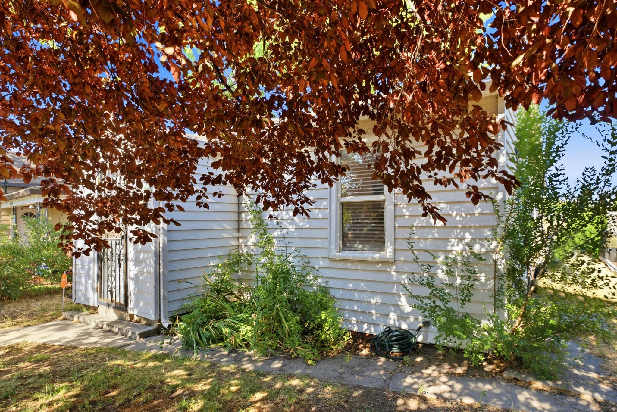 Exterior property view featuring horizontal siding, a window with blinds, and established surrounding foliage