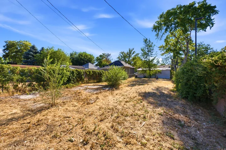Expansive outdoor space featuring a sloped grade, mature perimeter foliage, and a clear blue sky overhead