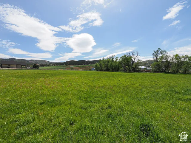Expansive green field featuring distant residential structures, mature trees, and rolling hills under a bright sky