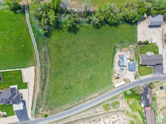 Expansive green field with trees bordering the northern edge