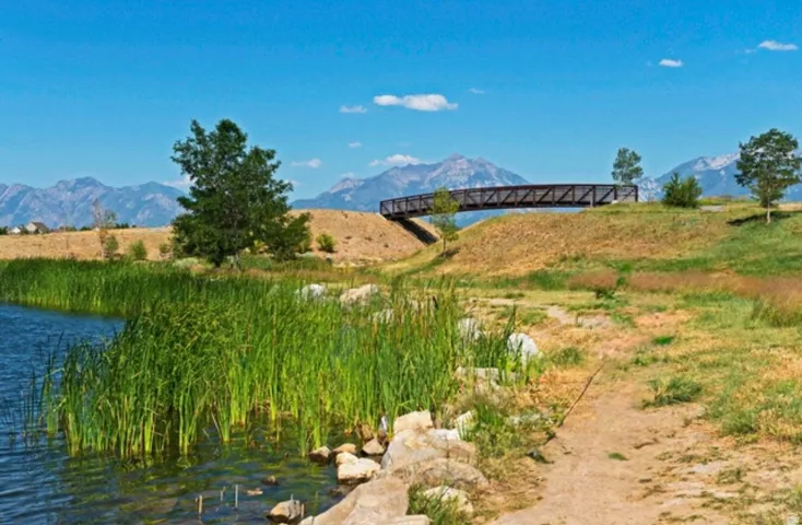 Water feature with lush aquatic plants, surrounded by natural landforms and distant mountains