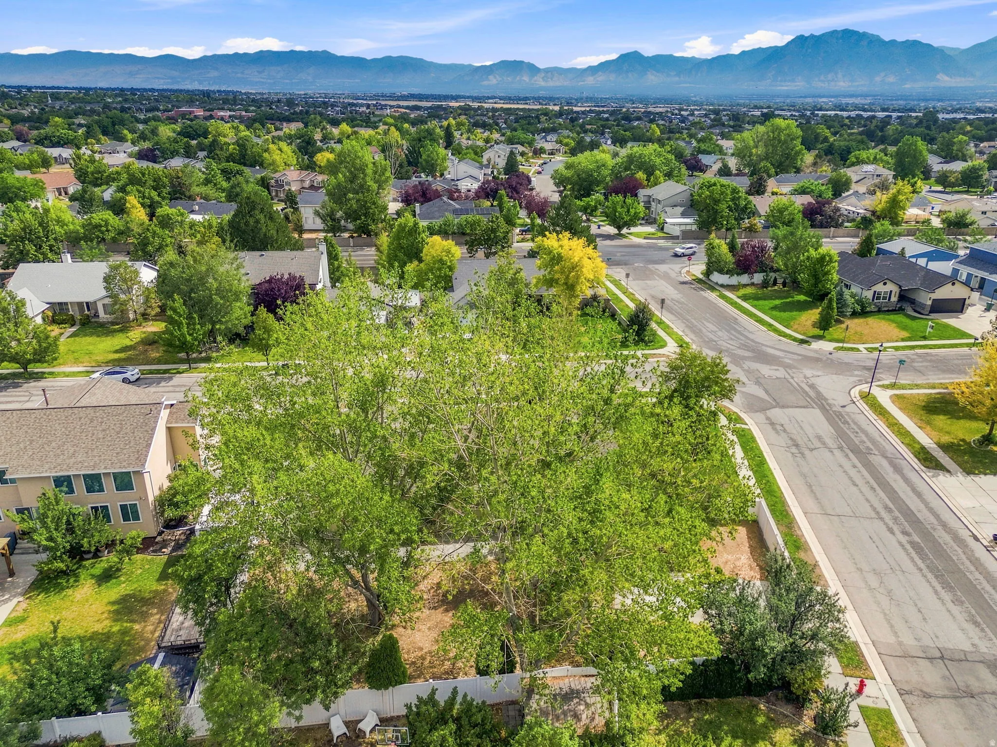 Expansive lot featuring mature trees, a white perimeter fence, and direct street frontage