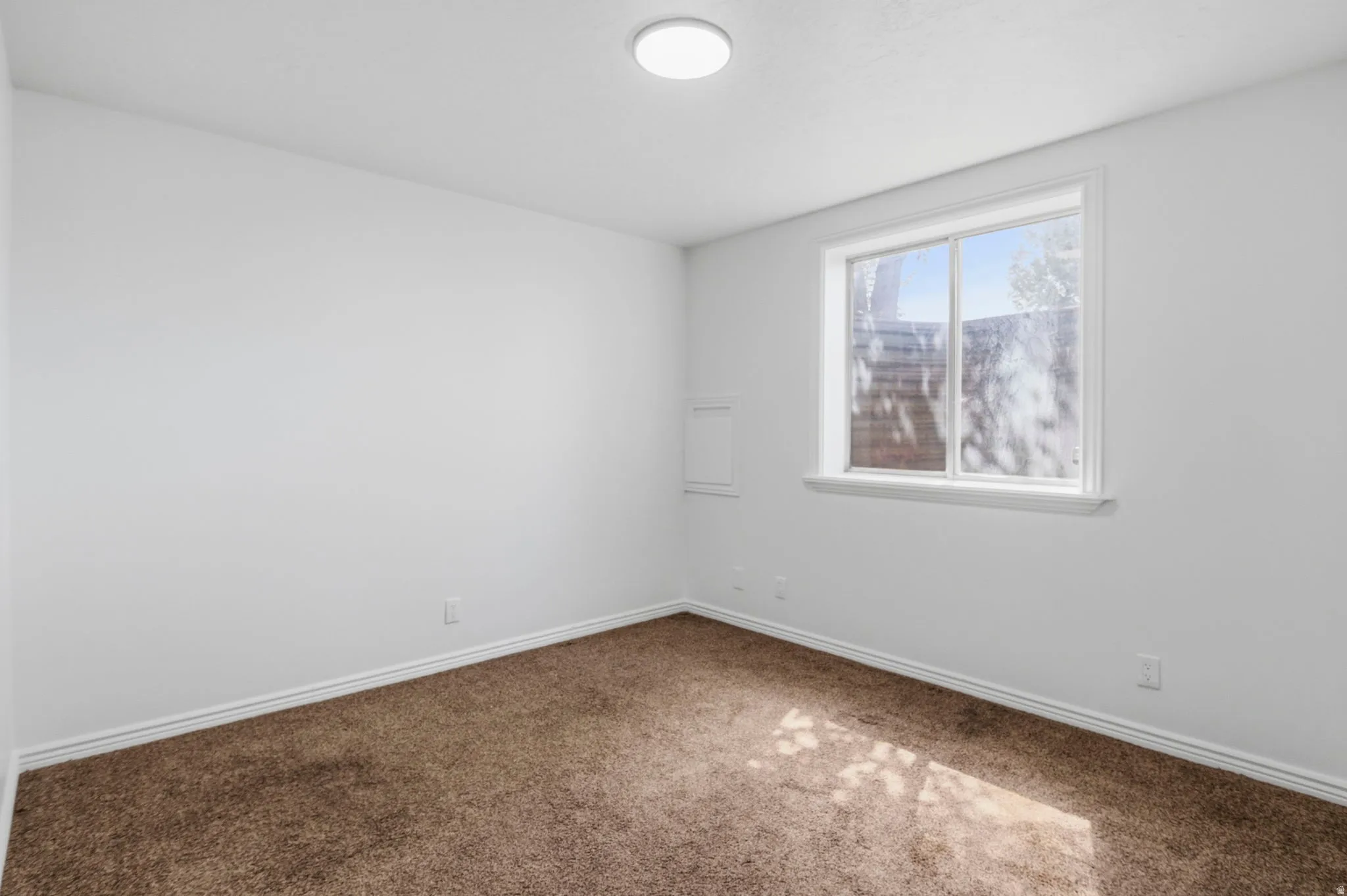 Neutral wall finishes, brown carpet, white trim, and a double-pane window