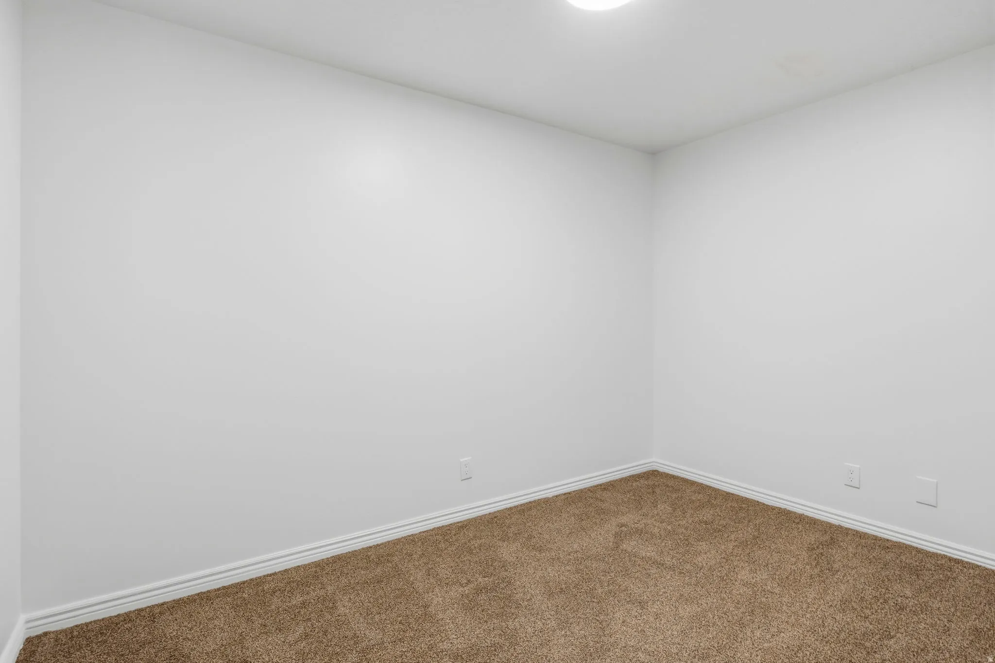 Room featuring neutral-toned walls, brown carpeting, white trim, and a ceiling-mounted light fixture