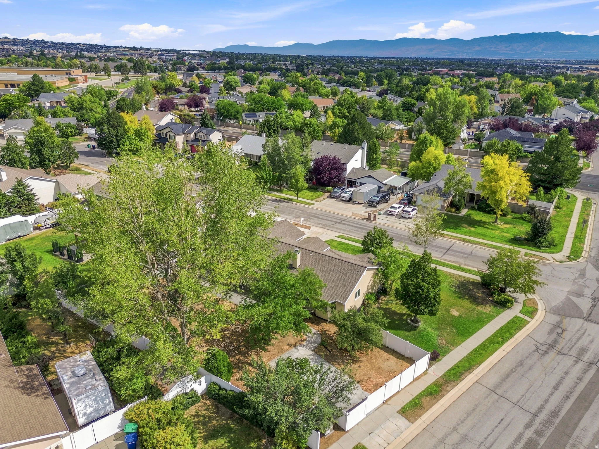Residential area featuring mature trees and established landscaping