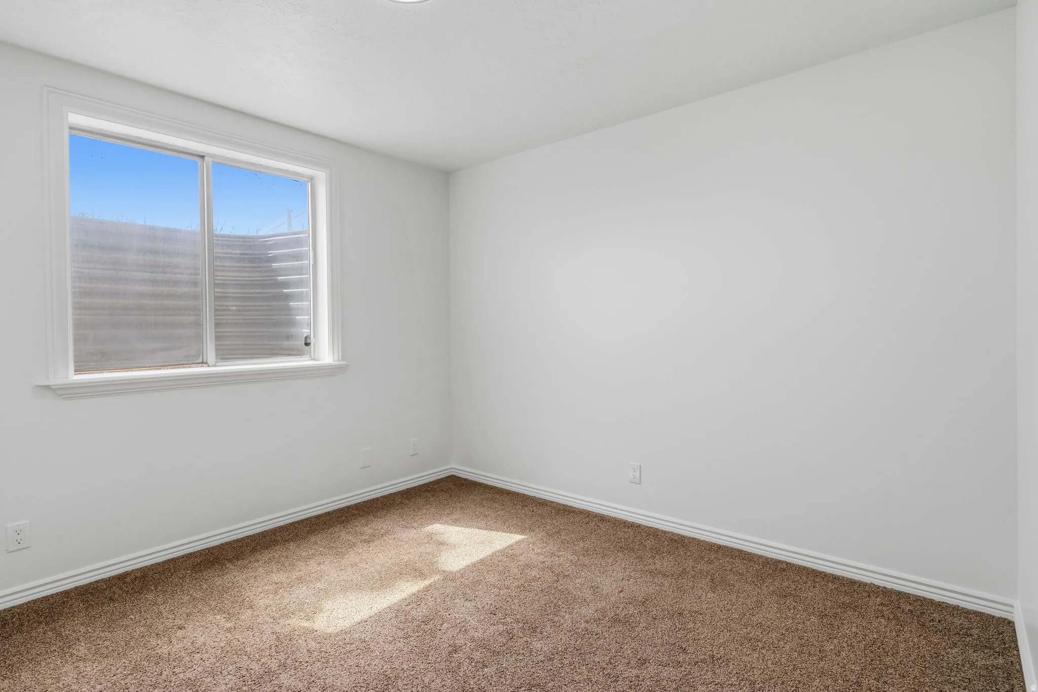 Neutral interior room featuring a single window with white trim, tan carpet, and white baseboards