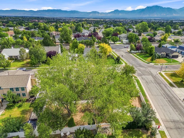 Expansive lot featuring mature trees, a white perimeter fence, and direct street frontage