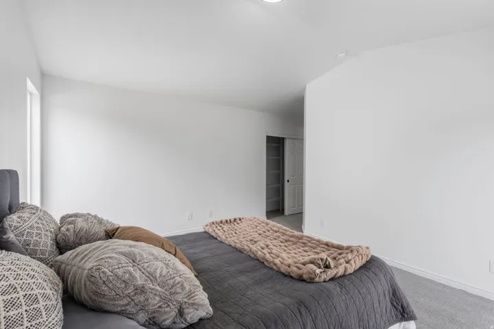 Recessed lighting, light-toned carpeting, and a built-in closet with shelves