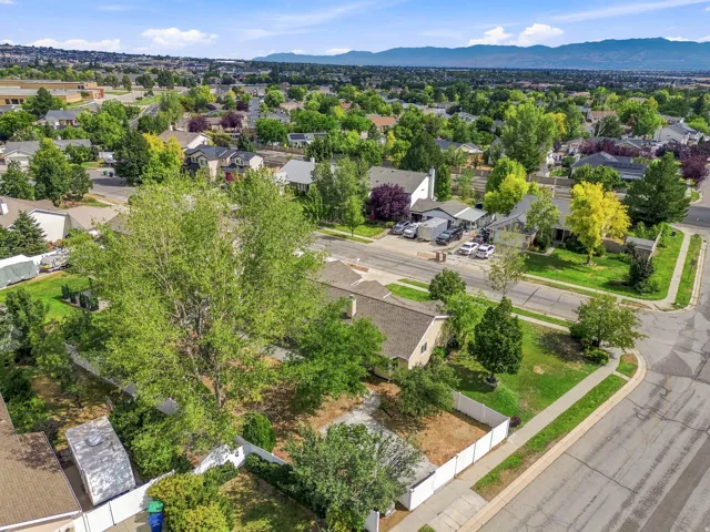 Residential area featuring mature trees and established landscaping