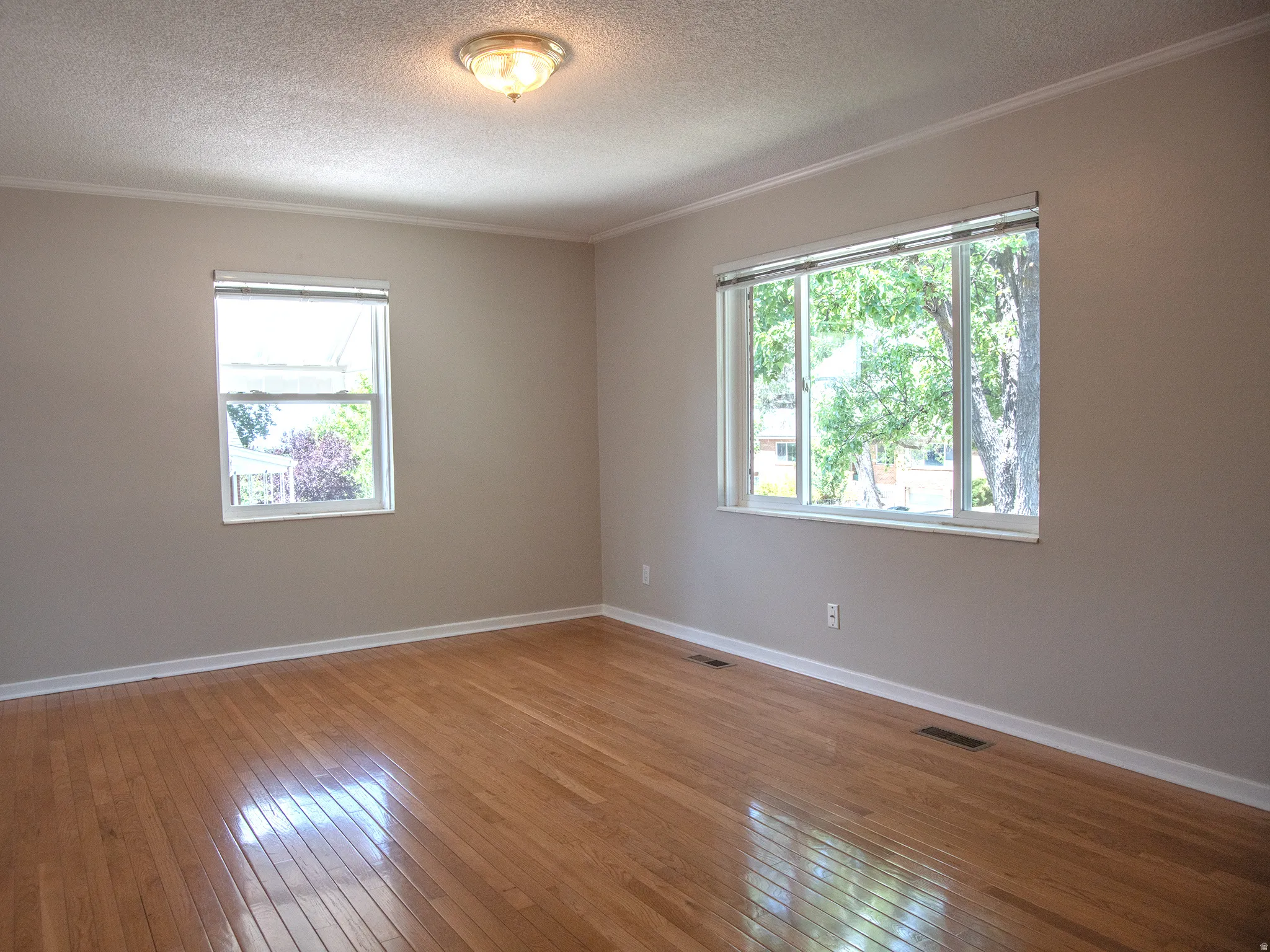Wood-finish flooring throughout, complemented by light-toned wall paint and white trim