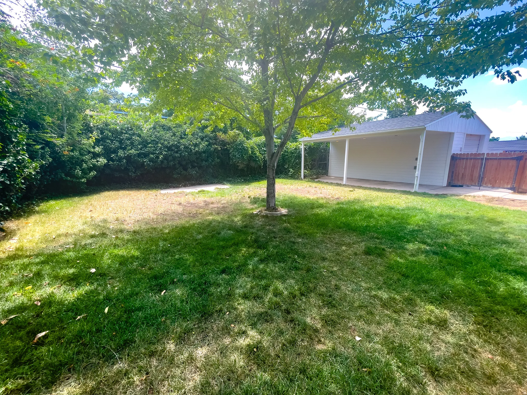 Expansive backyard featuring a mature central tree, a covered patio with a white roof and support columns, a white exterior building with a garage door, and a perimeter wood fence