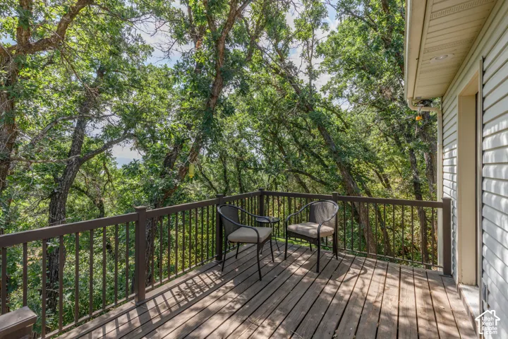 Outdoor wood deck with a brown railing system
