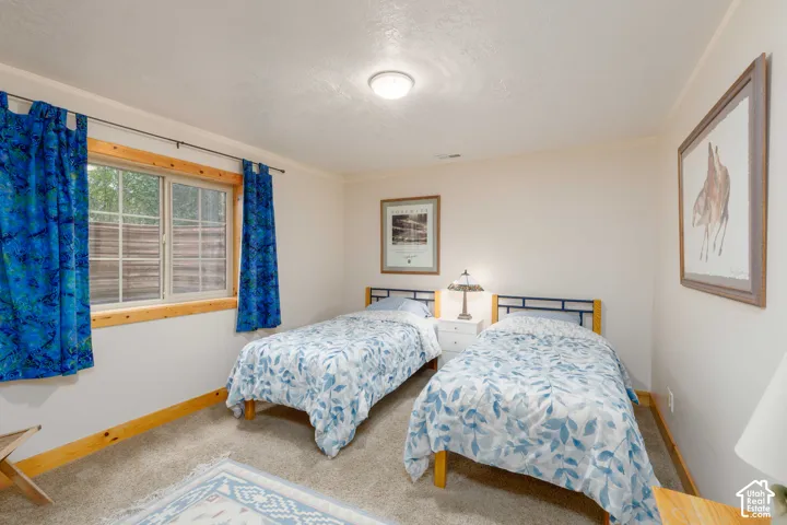 Carpeted room featuring a white ceiling and light-toned walls