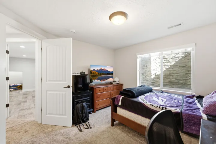 Carpeted bedroom featuring a large window with privacy blinds, a flush-mount ceiling light, and a paneled door