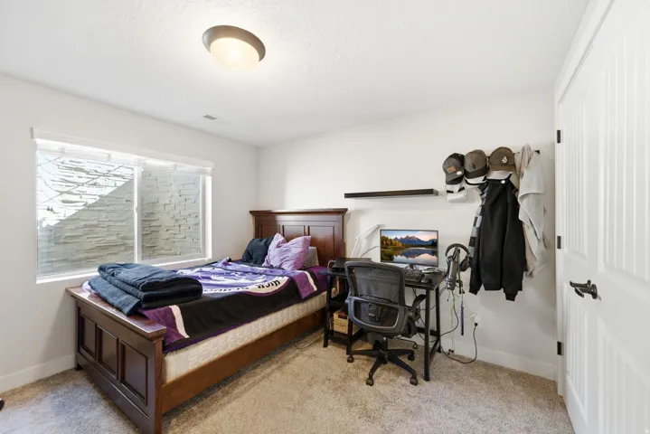 Recessed window with exterior stone-look well, flush-mount ceiling light, paneled door with dark hardware, and carpet flooring