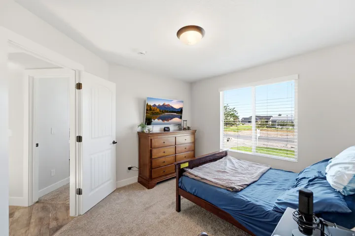 Single window with blinds, overhead flush mount lighting, light beige carpet, white interior door with vertical paneling, and a light-colored wall paint