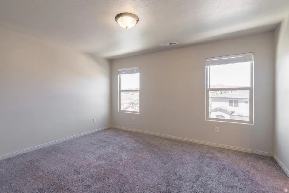 Neutral tone wall paint, textured carpeting, two windows with roller shades, and a flush mount ceiling light fixture