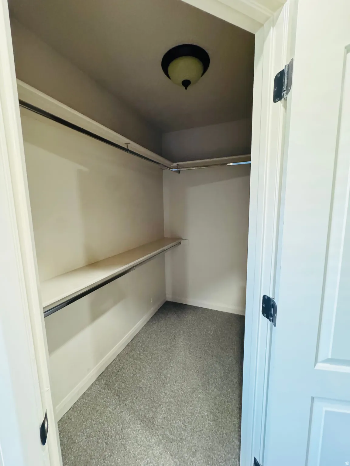 Walk-in closet with light gray carpeting, a built-in shelf, two hanging rods, and an overhead light fixture