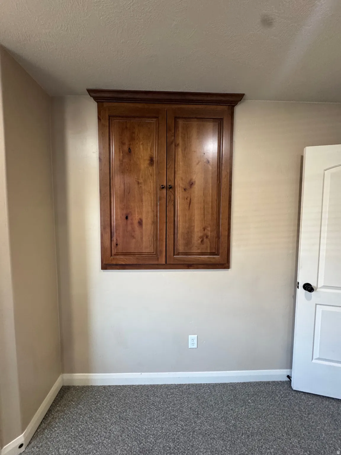 Built-in wood-finish cabinetry featuring double doors and decorative molding