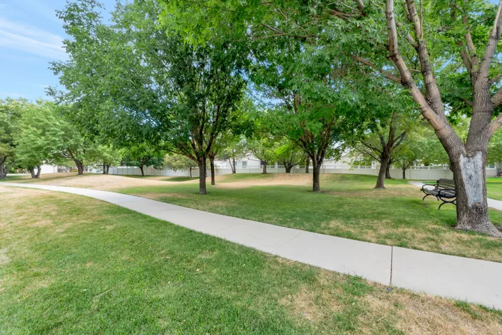 Grassed open space featuring mature deciduous trees and a concrete pathway