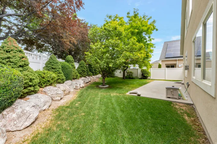 Spacious backyard featuring a manicured lawn, established shade tree, and a concrete patio