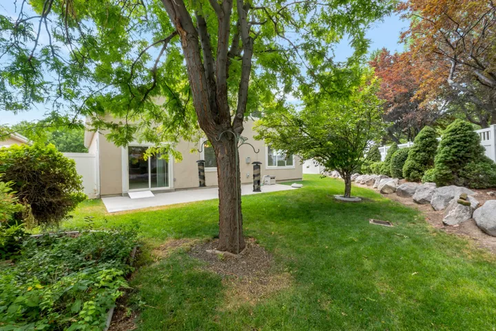 Expansive backyard featuring a manicured lawn, established trees, a concrete patio, and a rock border with mature shrubs