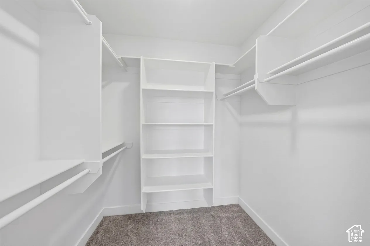 Spacious walk-in closet featuring white built-in shelving, multiple hanging rods, and carpet flooring