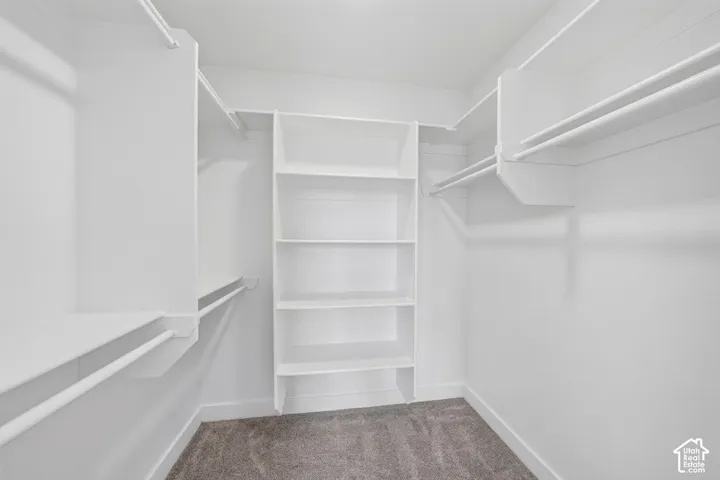 Spacious walk-in closet featuring white built-in shelving, multiple hanging rods, and carpet flooring