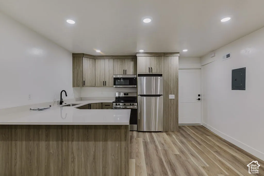 ADU Kitchen/Entry door