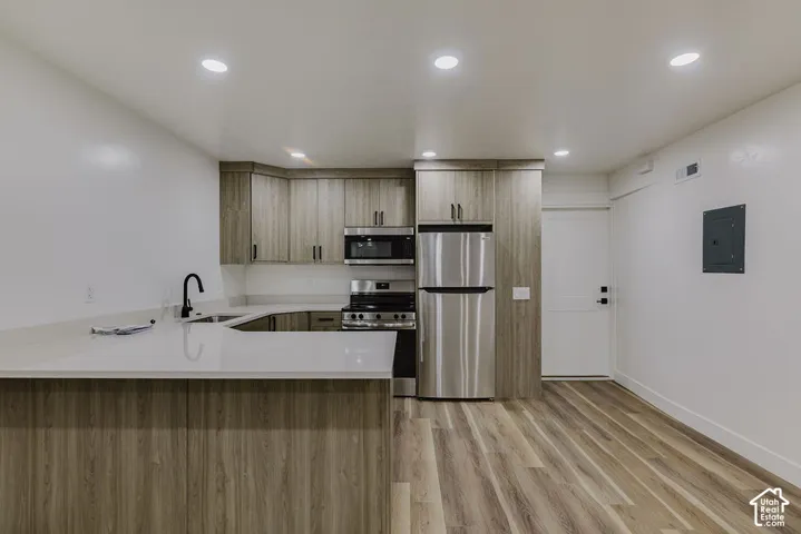 ADU Kitchen/Entry door