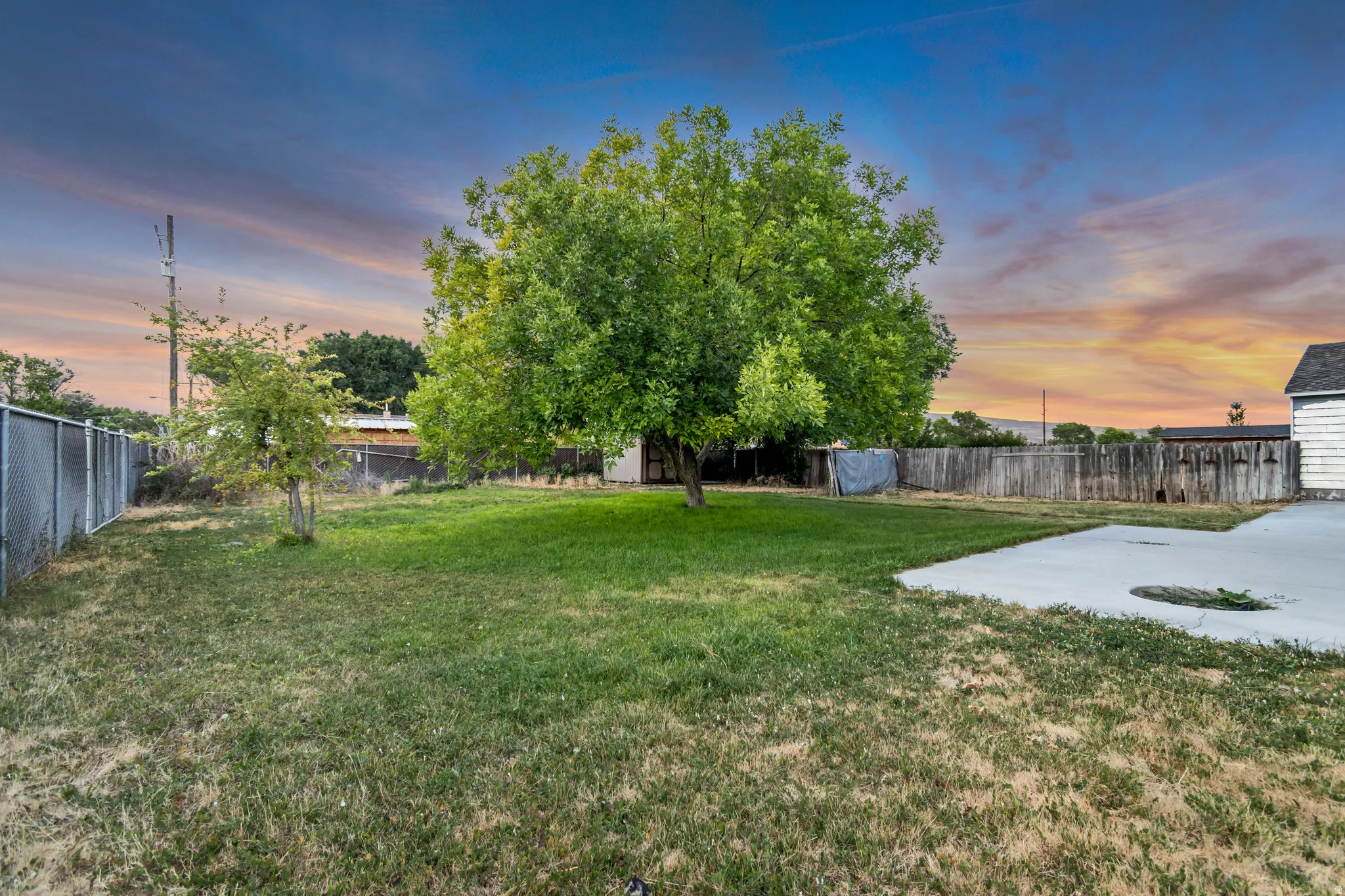 Expansive backyard featuring a mature central tree, a mix of chain-link and wood fencing, and a concrete patio space