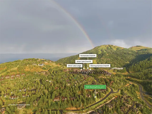 Aerial overview showcasing mountainous terrain with dense tree coverage